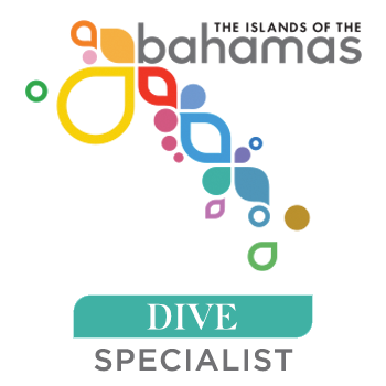 Dive Specialist credential